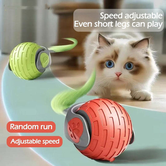 Interactive cat toy ball with adjustable speed and random run for playful cats.